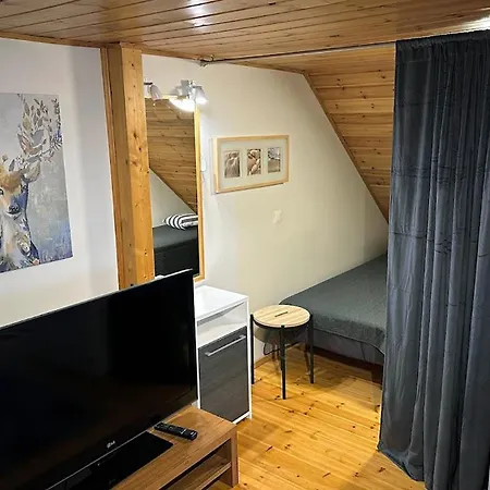 Alppihimos 9 Appartement Jämsä